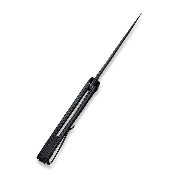 Praxis | 9Cr18MoV | G10 black C803G фото